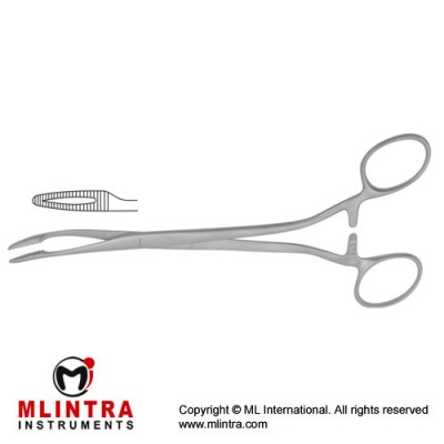 Duplay Sponge Holding Forcep Curved Stainless Steel, 21 cm - 8 1/4" Duplay Sponge Holding Forcep Curved Stainless Steel, 21 cm - 8 1/4"